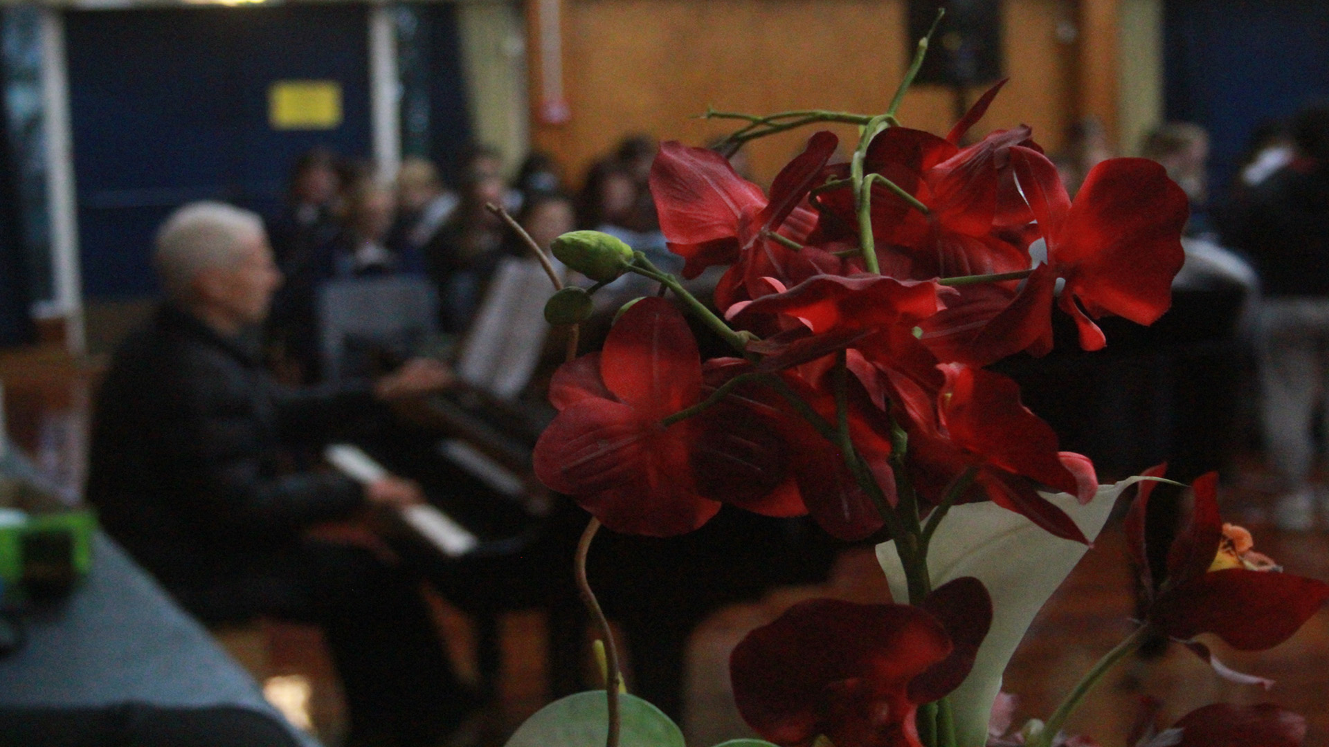 Mr Burdan playing piano behind flowers - Image courtesy of Kaita Hummel